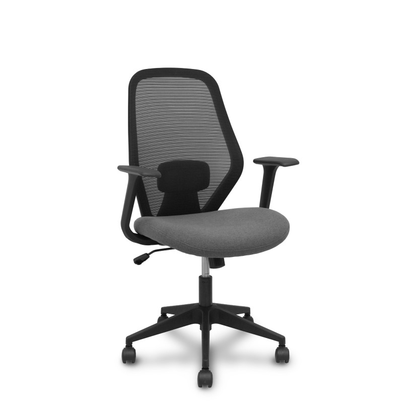 SILLA ERGO529 CON BRAZOS FIJOS SILLA ERGO529 CON BRAZOS FIJOS