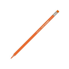 ESTUCHE 24 LÁPICES DE COLORES ALPINO BORRABLES