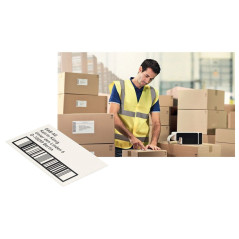 CARTUCHO 435 ETIQUETAS LEITZ ICON 50x88mm
