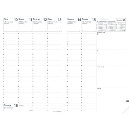 RECAMBIO AGENDA 202 QUOVADIS "MINISTRE" SEMANA VISTA VERTICAL CATALÁN