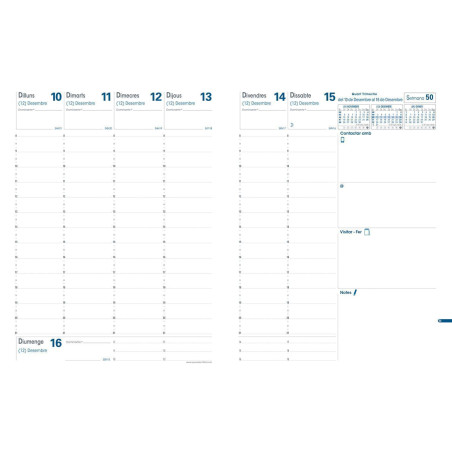 RECAMBIO AGENDA 2026 QUOVADIS "PRESIDENT" SEMANA VISTA VERTICAL CATALÁN