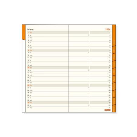 RECAMBIO ANUALIDAD 2026 FINOCAM "PLANA: P497" MES VISTA CASTELLANO