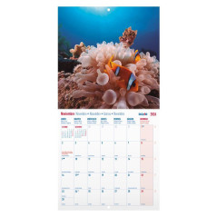 CALENDARIO DE PARED 2026 DOHE "IMÁGENES: PAISAJES EXÓTICOS"