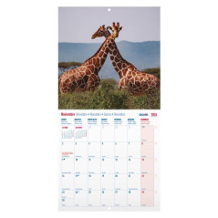 CALENDARIO DE PARED 2026 DOHE "IMÁGENES: FAUNA SALVAJE"