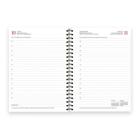 AGENDA 2026 MYRGA "DUEÑAS D13" DÍA PÁGINA 14,5,5x21cm CASTELLANO