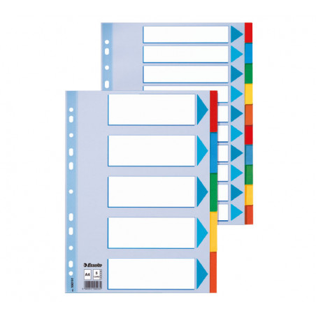SEPARADORES ESSELTE DE CARTÓN 12 POSICIONES