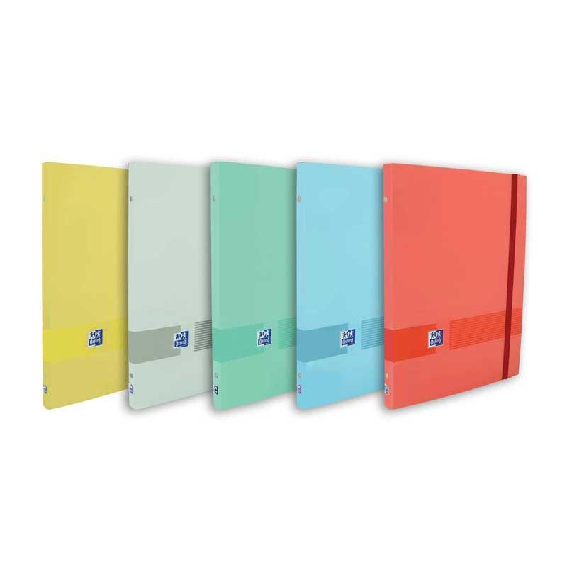 CARPETA CLASIFICADOR OXFORD &YOU A4