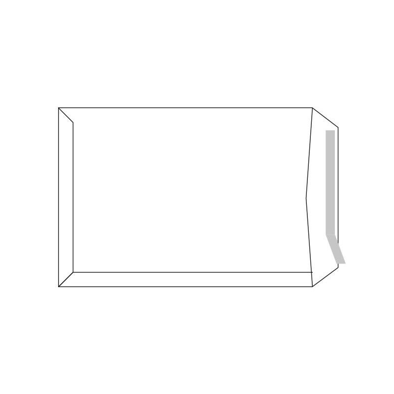 CAJA 250 BOLSAS SAM DE USO GENERAL 229x324mm VENTANA IZQUIERDA