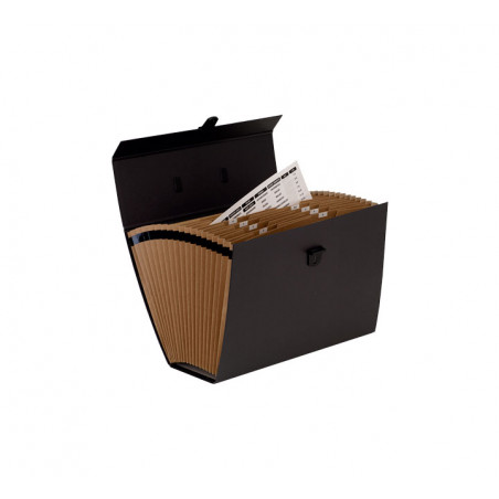 MALETÍN CLASIFICADOR FELLOWES BANKERS BOX®