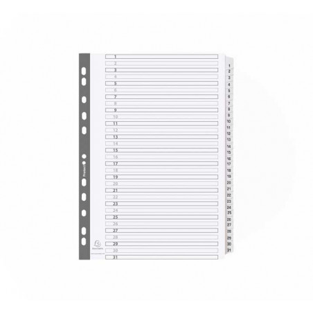 SEPARADORES EXACOMPTA DE CARTULINA 1-13 POSICIONES