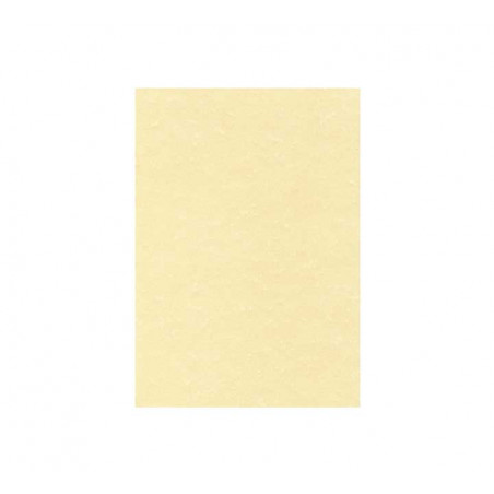 BLÍSTER 25h PAPEL PERGAMINO APLI CHAMPÁN A4 95gr