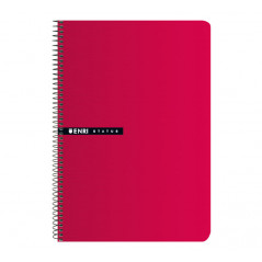 CUADERNO ESPIRAL ENRI 4º 100h 4x4