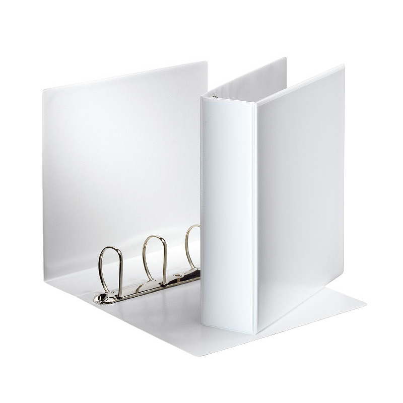 CARPETA PERSONALIZABLE ESSELTE 4-60 mm CARPETA PERSONALIZABLE ESSELTE 4-60 mm