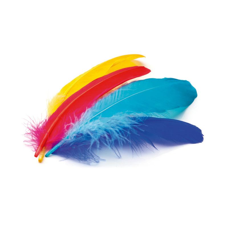 BOLSA 50 PLUMAS NIEFENVER INDIO BOLSA 50 PLUMAS NIEFENVER INDIO