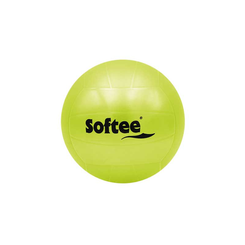 PELOTA POLIVALENTE 220mm LISA