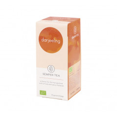 CAJA 18 BOLSITA PIRAMIDAL TÉ SEMPER TEA "DARJEELING"