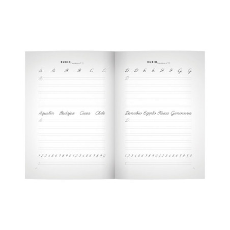 PACK 10 CUADERNOS RUBIO ESCRITURA PRIMARIA 13