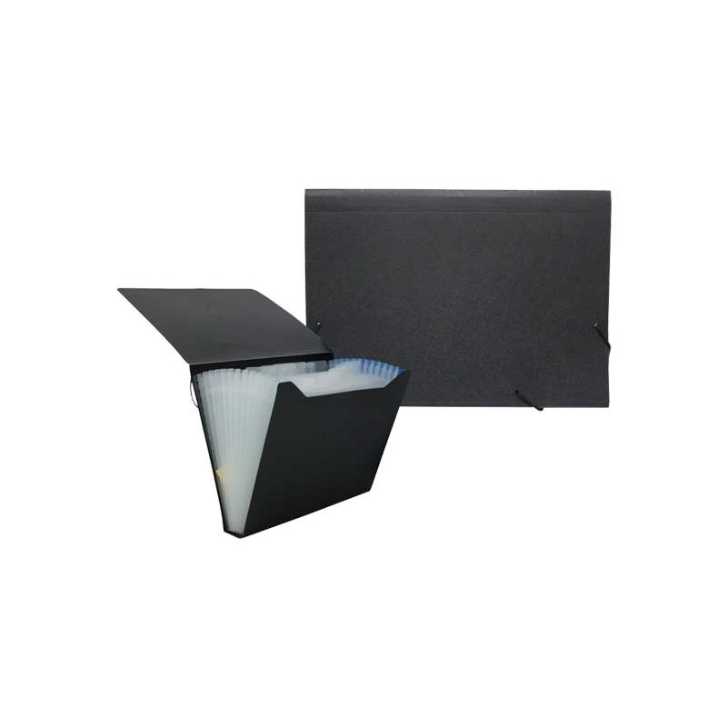 CARPETA CLASIFICADORA CON FUELLE CARPETA CLASIFICADORA CON FUELLE