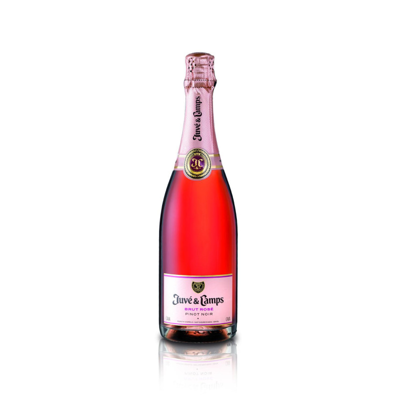 BOTELLA CAVA BRUT "ESSENTIAL PINOT NOIR JUVÉ & CAMPS" 75cl BOTELLA CAVA BRUT "ESSENTIAL PINOT NOIR JUVÉ & CAMPS" 75cl