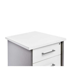 BUCK MÓVIL ROCADA SERIE STORE 2 CAJONES ALUMINIO-BLANCO 60x50x72cm