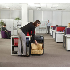 DESTRUCTORA AUTOMÁTICA REXEL AUTO+ 600X