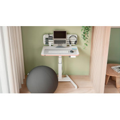 ALFOMBRILLA DE ESCRITORIO LEITZ