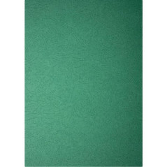 CAJA 25 PORTADAS FELLOWES SÍMIL PIEL DELTA CUERO A4