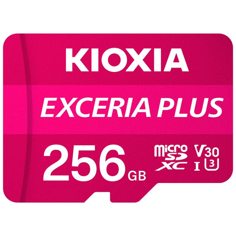 EXCERIA PLUS MEMORIA FLASH 256 GB MICROSDXC UHS-I CLASE 10