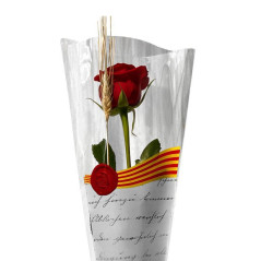 PACK 50 ROSAS SANT JORDI DE 50cm