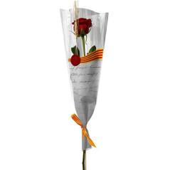 PACK 50 ROSAS SANT JORDI DE 50cm