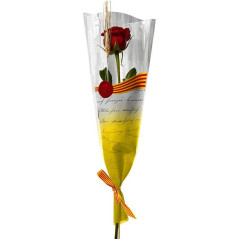 PACK 50 ROSAS SANT JORDI DE 70cm