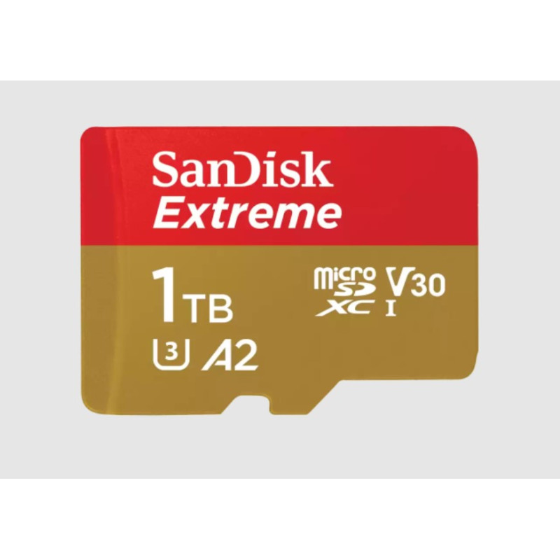 EXTREME 1024 GB MICROSDXC UHS-I CLASE 3