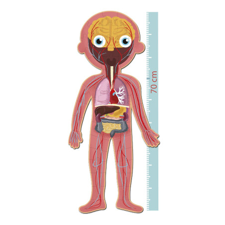 PUZZLE APLI KIDS "CUERPO HUMANO"