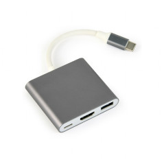 A-CM-HDMIF-02-SG ADAPTADOR GRÁFICO USB 3840 X 2160 PIXELES GRIS