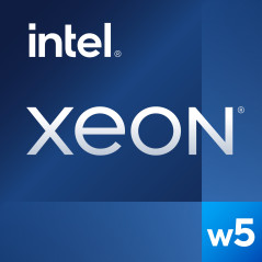 XEON W5-2455X PROCESADOR 3,2 GHZ 30 MB SMART CACHE CAJA