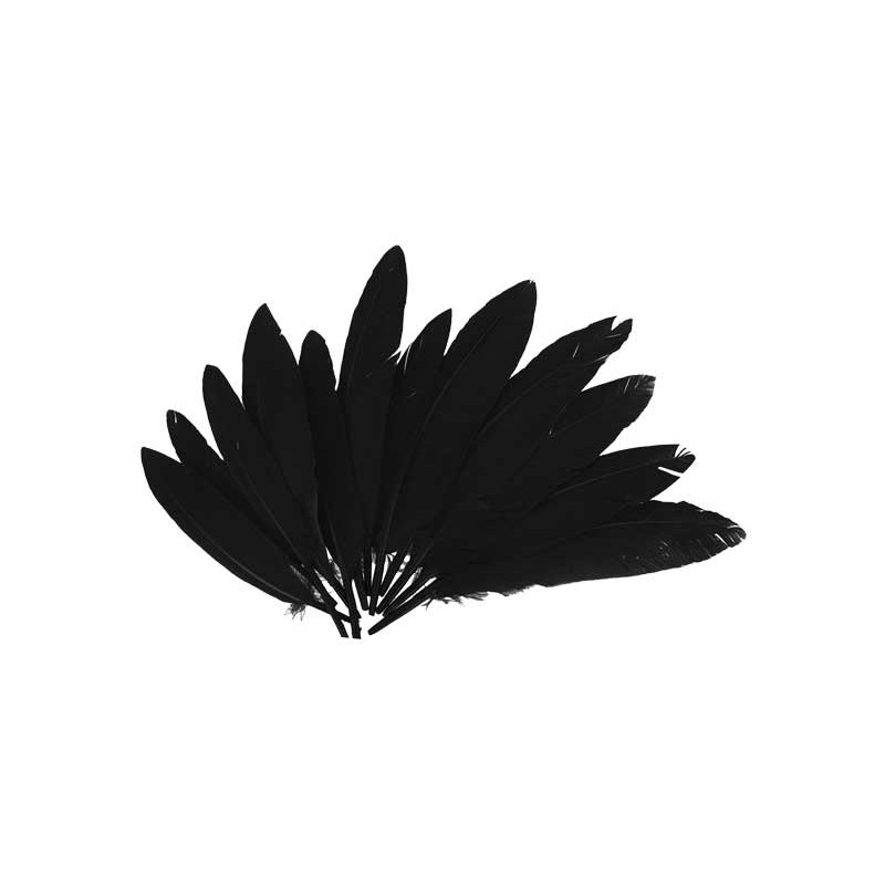 BOLSA 60 PLUMAS INDIO INNSPIRO 140mm BOLSA 60 PLUMAS INDIO INNSPIRO 140mm