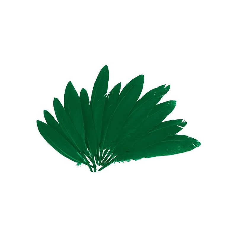 BOLSA 60 PLUMAS INDIO INNSPIRO 140mm BOLSA 60 PLUMAS INDIO INNSPIRO 140mm