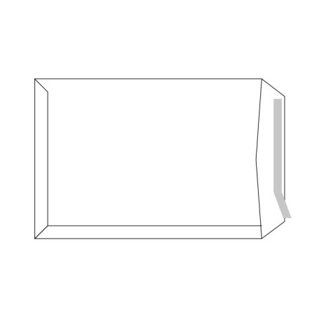 CAJA 250 BOLSAS SAM DE USO GENERAL 250x353mm