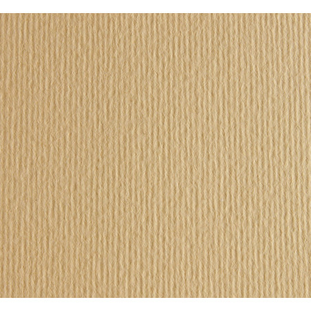 PACK 20h CARTULINA LISA/RUGOSA FABRIANO 50x70cm