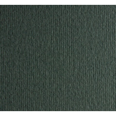 PACK 20h CARTULINA LISA/RUGOSA FABRIANO 50x70cm