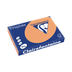 PAQUETE 500h PAPEL TROPHÉE CLAIREFONTAINE A3 PASTEL