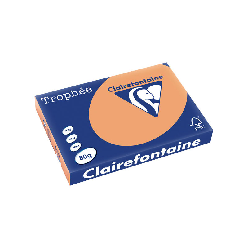 PAQUETE 500h PAPEL TROPHÉE CLAIREFONTAINE A3 PASTEL PAQUETE 500h PAPEL TROPHÉE CLAIREFONTAINE A3 PASTEL
