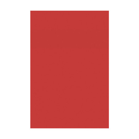 PACK 10h GOMA EVA CARCHIARTS 45x60cm