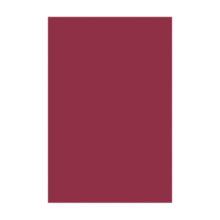 PACK 10h GOMA EVA CARCHIARTS 45x60cm