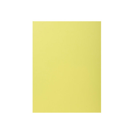 PACK 100 SUBCARPETAS EXACOMPTA SUPER 160