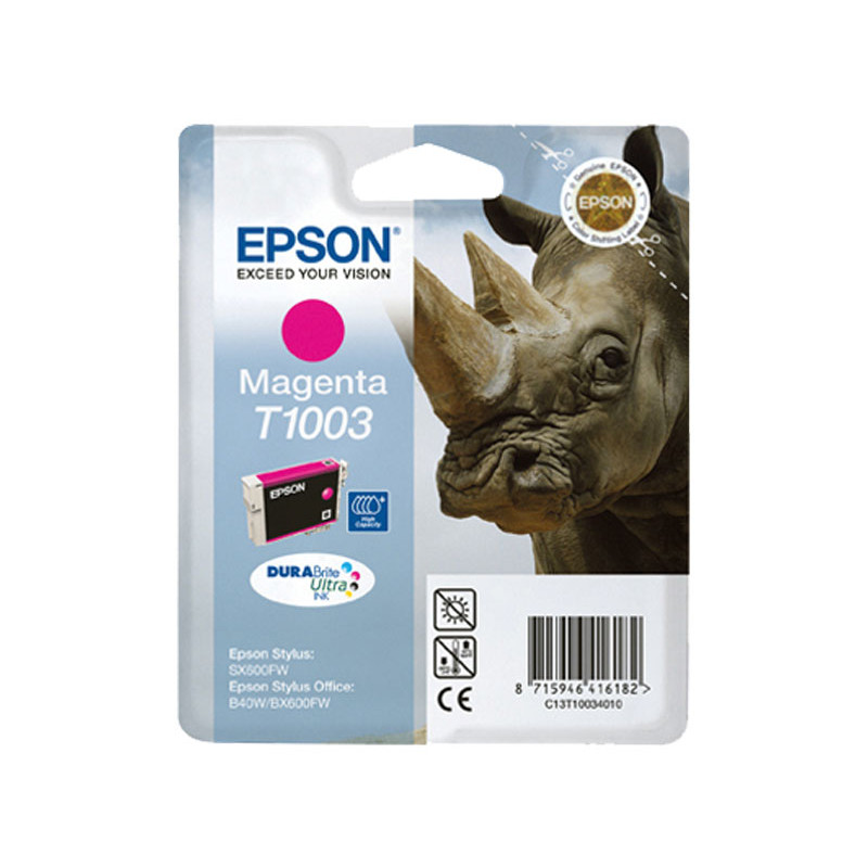 INKJET ORIGINAL EPSON C13T100 INKJET ORIGINAL EPSON C13T100