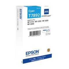 INKJET ORIGINAL EPSON C13T789