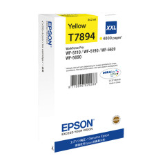 INKJET ORIGINAL EPSON C13T789