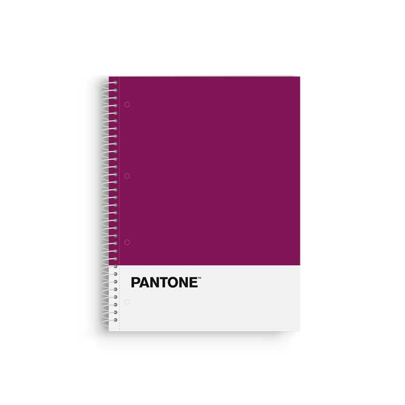 CUADERNO ESPIRAL 80h ESCOLOFI "PANTONE: BASICS" A4 5x5