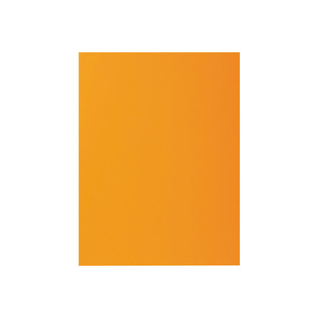 PACK 100 SUBCARPETAS EXACOMPTA ROCK"S 80